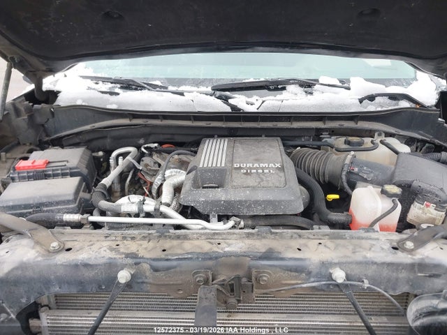 12572375 :رقم المزاد ، 3GCUDFE83RG454341 vin ، 2024 Chevrolet Silverado K1500 Lt Trail Boss مزاد بيع