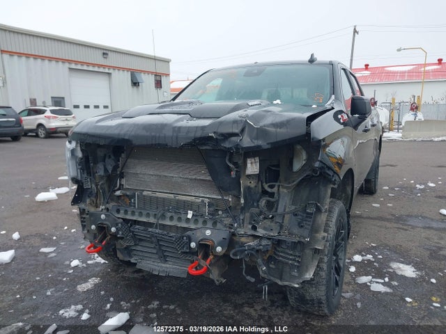 12572375 :رقم المزاد ، 3GCUDFE83RG454341 vin ، 2024 Chevrolet Silverado K1500 Lt Trail Boss مزاد بيع