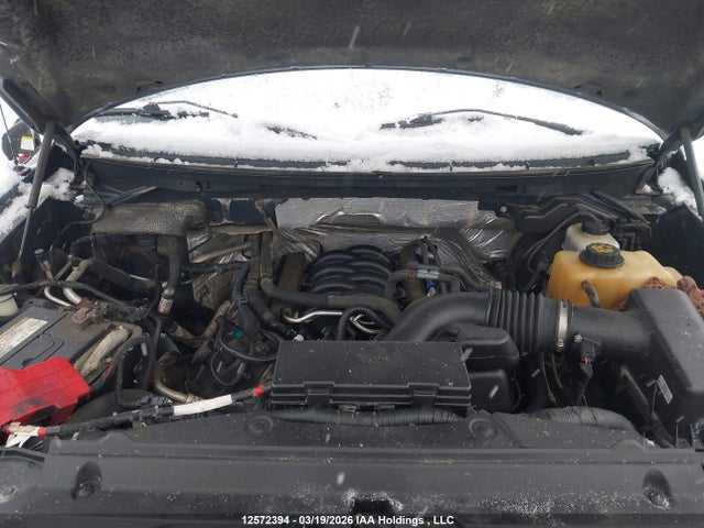 Продаж на аукціоні авто 2012 Ford F150 Supercrew, vin: 1FTFW1EF8CFB59734, номер лоту: 12572394