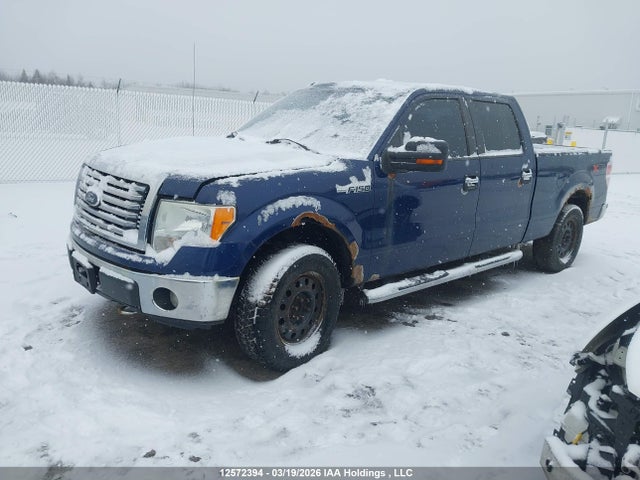 Продаж на аукціоні авто 2012 Ford F150 Supercrew, vin: 1FTFW1EF8CFB59734, номер лоту: 12572394