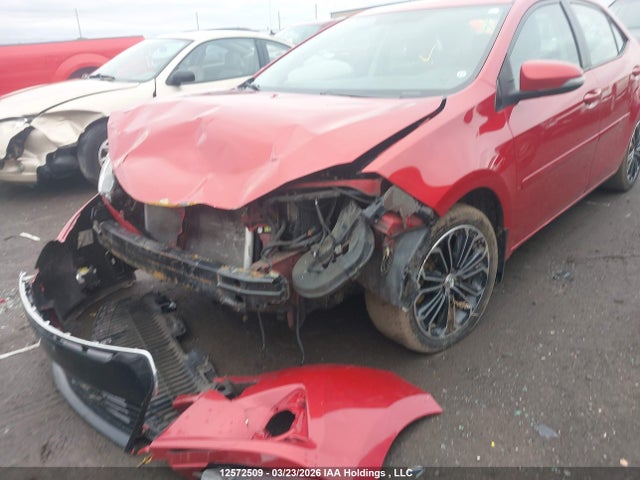 2T1BURHE0GC734168 Toyota Corolla L/le/le Pls/prm/s/s Pls