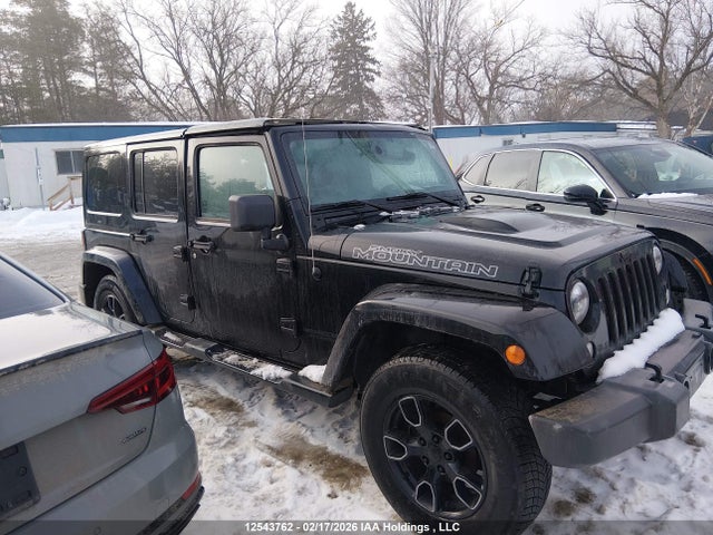 Aukcja sprzedaży 2017 Jeep Wrangler Unlimited Sahara, vin: 1C4BJWEG0HL649578, numer aukcji: 12543762