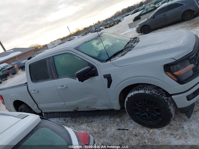 1FTFW3L51RKE82772 Ford F-150 Xlt