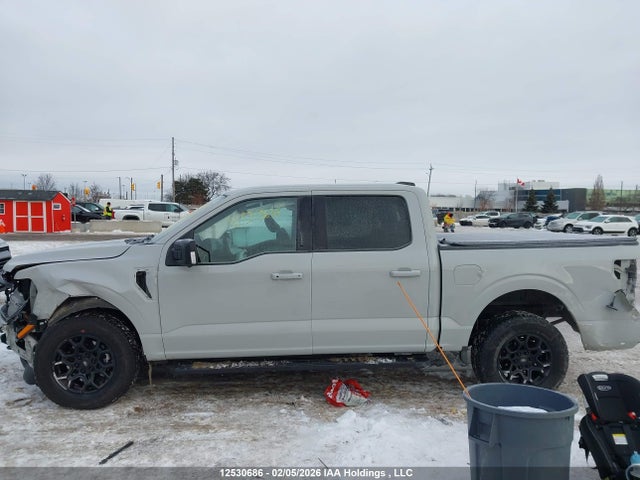 1FTFW3L51RKE82772 Ford F-150 Xlt
