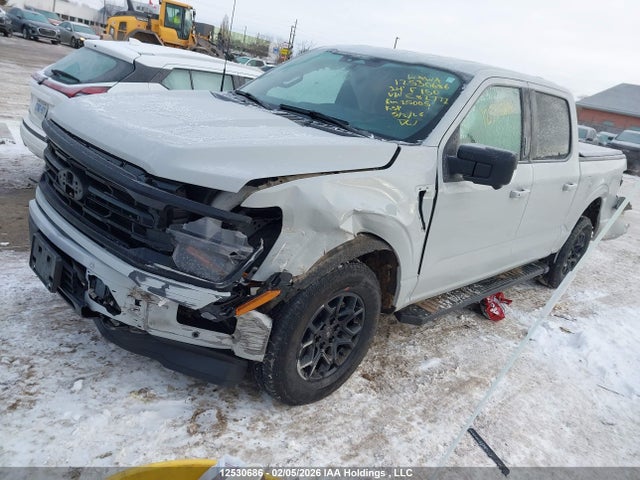 1FTFW3L51RKE82772 Ford F-150 Xlt