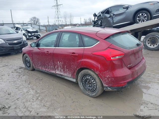 1FADP3N27GL300240 Ford Focus Titanium