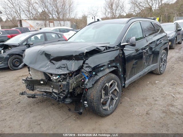 KM8JCCD10RU203133 Hyundai Tucson Sel Convenience