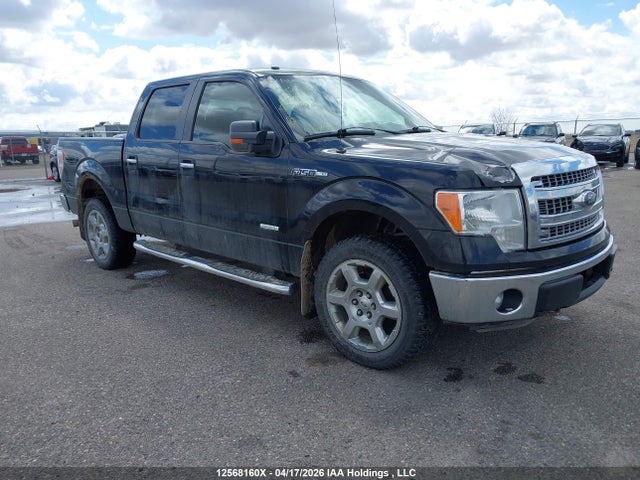 12568160 :رقم المزاد ، 1FTFW1ET3DFC83188 vin ، 2013 Ford F-150 Xlt مزاد بيع