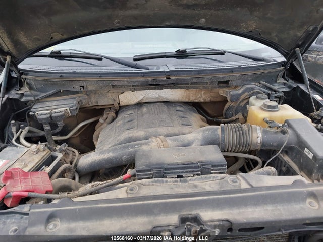 12568160 :رقم المزاد ، 1FTFW1ET3DFC83188 vin ، 2013 Ford F-150 Xlt مزاد بيع