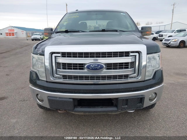 12568160 :رقم المزاد ، 1FTFW1ET3DFC83188 vin ، 2013 Ford F-150 Xlt مزاد بيع