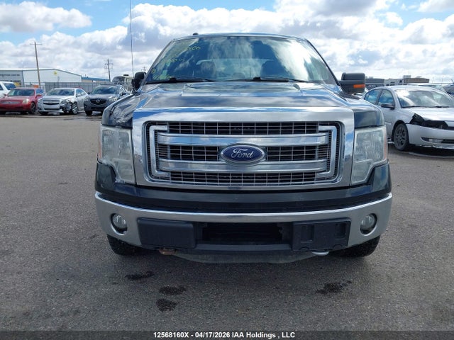12568160 :رقم المزاد ، 1FTFW1ET3DFC83188 vin ، 2013 Ford F-150 Xlt مزاد بيع