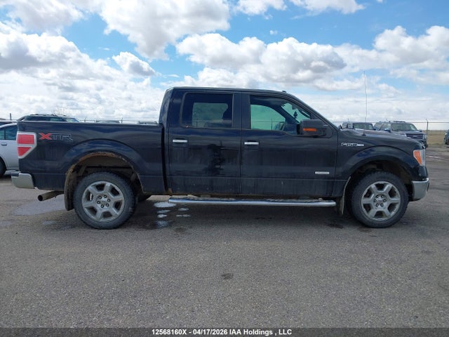 12568160 :رقم المزاد ، 1FTFW1ET3DFC83188 vin ، 2013 Ford F-150 Xlt مزاد بيع