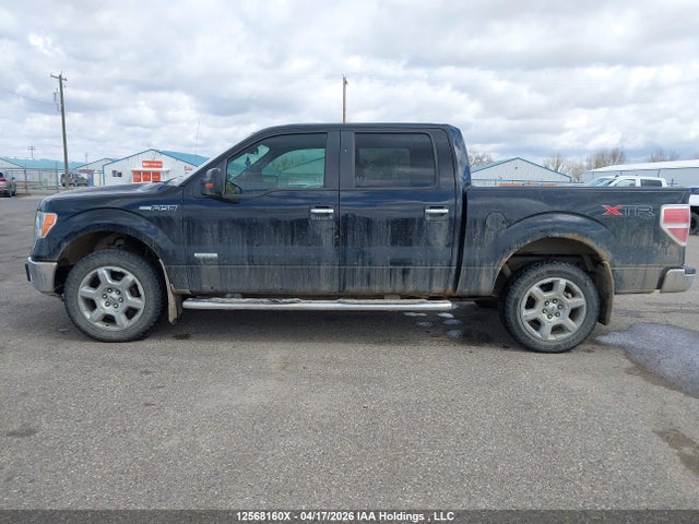 12568160 :رقم المزاد ، 1FTFW1ET3DFC83188 vin ، 2013 Ford F-150 Xlt مزاد بيع