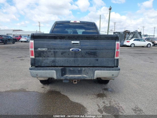 12568160 :رقم المزاد ، 1FTFW1ET3DFC83188 vin ، 2013 Ford F-150 Xlt مزاد بيع