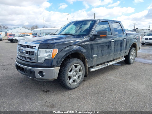 12568160 :رقم المزاد ، 1FTFW1ET3DFC83188 vin ، 2013 Ford F-150 Xlt مزاد بيع