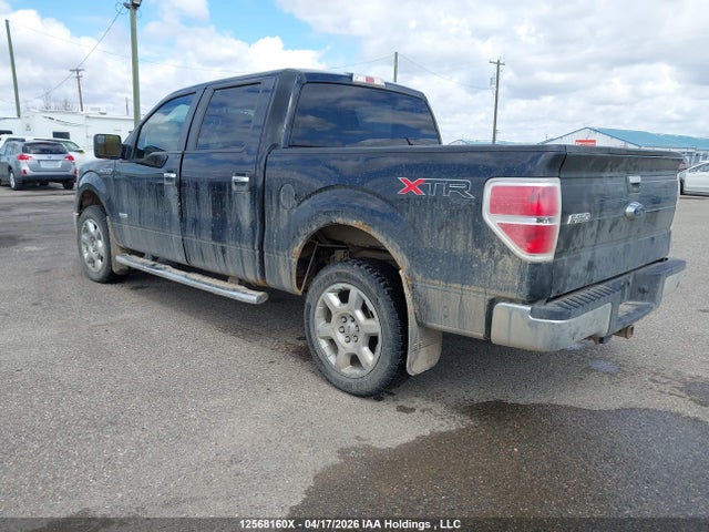 12568160 :رقم المزاد ، 1FTFW1ET3DFC83188 vin ، 2013 Ford F-150 Xlt مزاد بيع