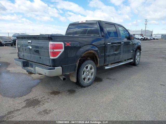 12568160 :رقم المزاد ، 1FTFW1ET3DFC83188 vin ، 2013 Ford F-150 Xlt مزاد بيع