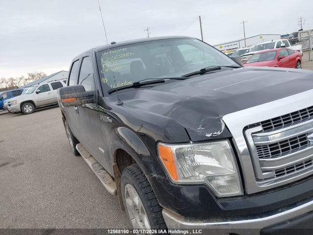 12568160 :رقم المزاد ، 1FTFW1ET3DFC83188 vin ، 2013 Ford F-150 Xlt مزاد بيع