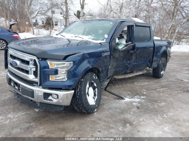 12533631 :رقم المزاد ، 1FTFW1EF3GFC93556 vin ، 2016 Ford F-150 Xlt مزاد بيع