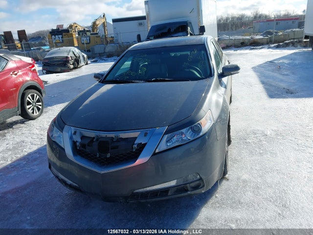 2009 Acura Tl მანქანა იყიდება აუქციონზე, vin: 19UUA86229A800930, აუქციონის ნომერი: 12567032