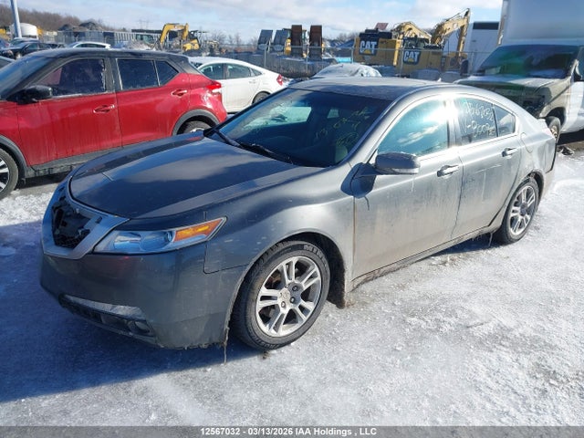 2009 Acura Tl მანქანა იყიდება აუქციონზე, vin: 19UUA86229A800930, აუქციონის ნომერი: 12567032