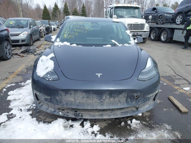 2023 Tesla Model 3 მანქანა იყიდება აუქციონზე, vin: 5YJ3E1EA1PF397087, აუქციონის ნომერი: 12572779