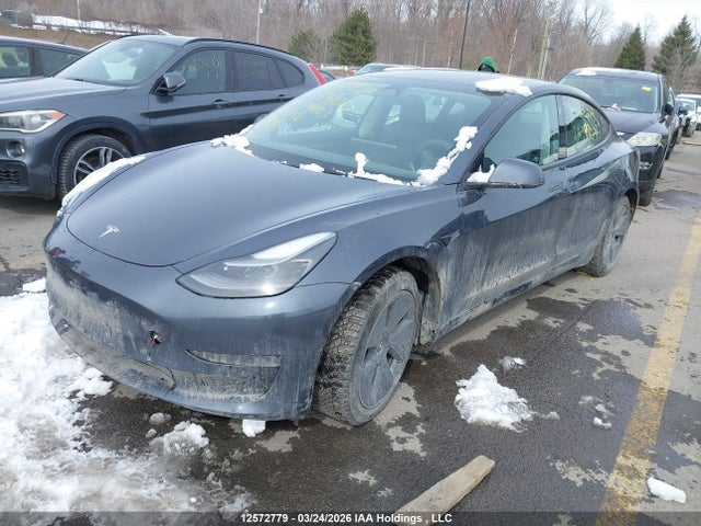 2023 Tesla Model 3 მანქანა იყიდება აუქციონზე, vin: 5YJ3E1EA1PF397087, აუქციონის ნომერი: 12572779