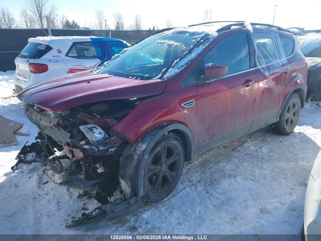 Aukcja sprzedaży 2014 Ford Escape Se, vin: 1FMCU9G90EUC32524, numer aukcji: 12528856