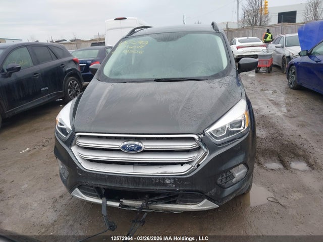 Продаж на аукціоні авто 2019 Ford Escape Sel, vin: 1FMCU0HDXKUC12226, номер лоту: 12572964