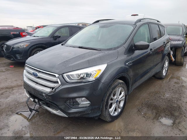 Продаж на аукціоні авто 2019 Ford Escape Sel, vin: 1FMCU0HDXKUC12226, номер лоту: 12572964