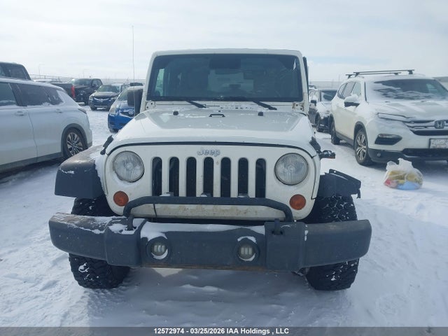 Aukcja sprzedaży 2009 Jeep Wrangler Rubicon, vin: 1J4GA64139L701462, numer aukcji: 12572974