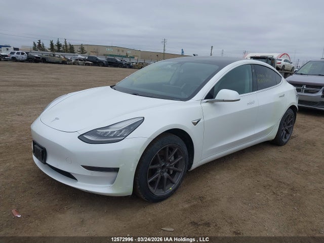 12572996 :رقم المزاد ، 5YJ3E1EA3KF529176 vin ، 2019 Tesla Model 3 مزاد بيع