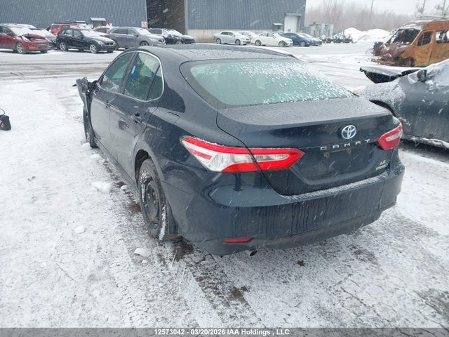 12573042 :رقم المزاد ، 4T1C31AK5LU534808 vin ، 2020 Toyota Camry Le مزاد بيع