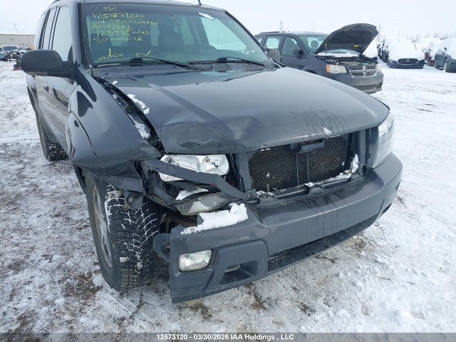 Aukcja sprzedaży 2007 Chevrolet Trailblazer Ls/lt, vin: 1GNDT13SX72142602, numer aukcji: 12573120