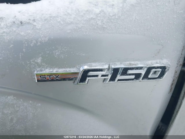 Продаж на аукціоні авто 2013 Ford F-150 Stx, vin: 1FTFX1CF2DKD74924, номер лоту: 12573216