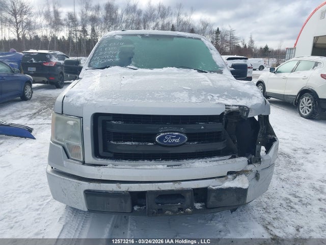 Продаж на аукціоні авто 2013 Ford F-150 Stx, vin: 1FTFX1CF2DKD74924, номер лоту: 12573216