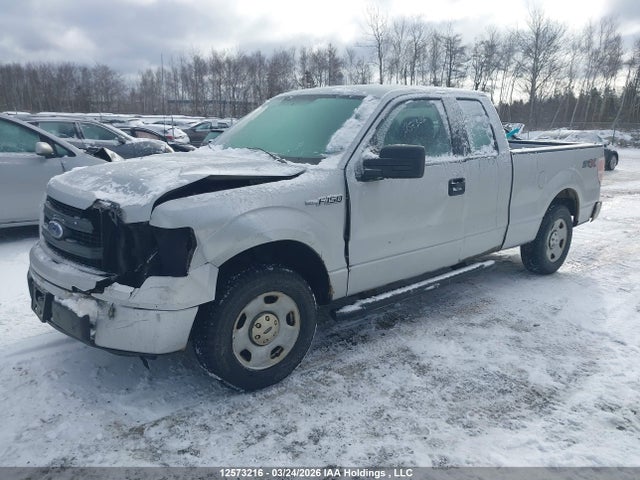 Продаж на аукціоні авто 2013 Ford F-150 Stx, vin: 1FTFX1CF2DKD74924, номер лоту: 12573216