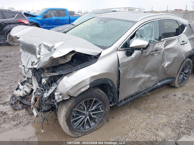 12573358 :رقم المزاد ، 2T2ADCEZ4NC001792 vin ، 2022 Lexus Nx 250 مزاد بيع