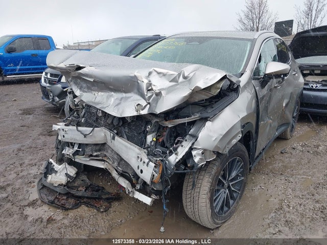 12573358 :رقم المزاد ، 2T2ADCEZ4NC001792 vin ، 2022 Lexus Nx 250 مزاد بيع