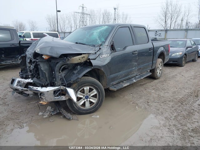 Продажа на аукционе авто 2016 Ford F150 Supercrew, vin: 1FTEW1EF0GFC08359, номер лота: 12573364