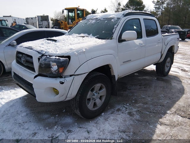12573450 :رقم المزاد ، 5TELU42N09Z663373 vin ، 2009 Toyota Tacoma مزاد بيع
