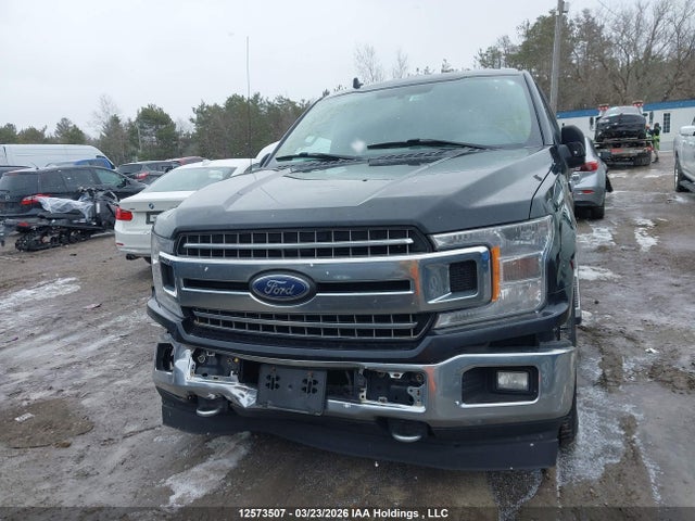 12573507 :رقم المزاد ، 1FTEW1E52JFE19531 vin ، 2018 Ford F-150 Xlt مزاد بيع