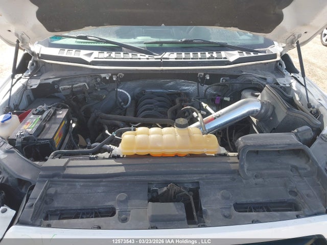 12573543 :رقم المزاد ، 1FTEW1EFXHFB45515 vin ، 2017 Ford F-150 Xlt مزاد بيع