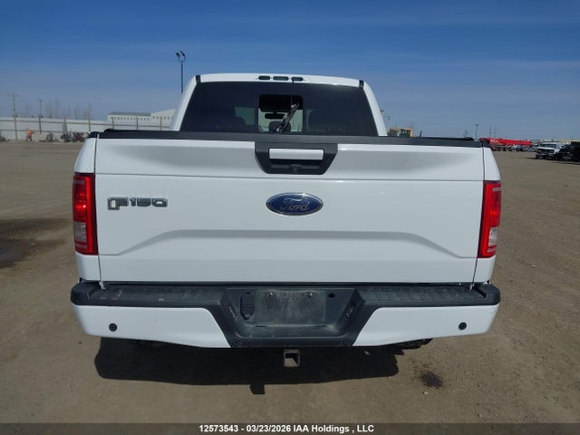 12573543 :رقم المزاد ، 1FTEW1EFXHFB45515 vin ، 2017 Ford F-150 Xlt مزاد بيع