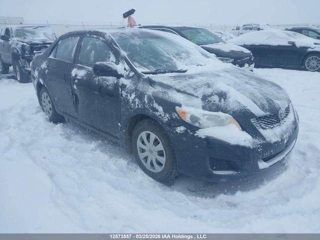 Продаж на аукціоні авто 2009 Toyota Corolla Ce, vin: 2T1BU40E69C185951, номер лоту: 12573557