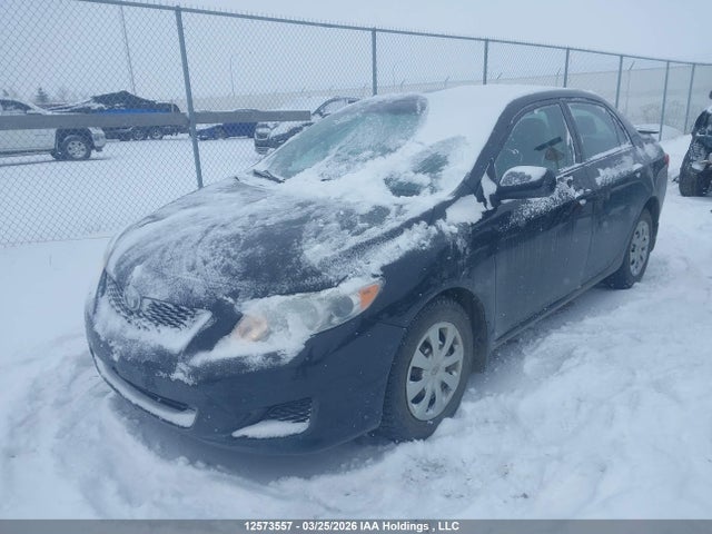 Продаж на аукціоні авто 2009 Toyota Corolla Ce, vin: 2T1BU40E69C185951, номер лоту: 12573557