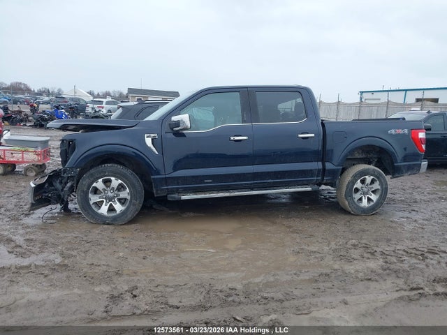 2021 Ford F150 Supercrew მანქანა იყიდება აუქციონზე, vin: 1FTEW1EP7MKD49408, აუქციონის ნომერი: 12573561