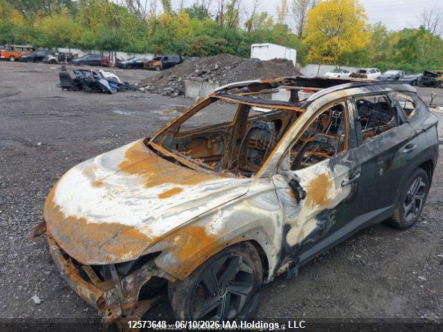 Продаж на аукціоні авто 2023 Hyundai Tucson Luxury Hybrid Awd, vin: KM8JCCA12PU129330, номер лоту: 12573648