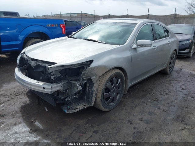 2010 Acura Tl მანქანა იყიდება აუქციონზე, vin: 19UUA8F50AA800505, აუქციონის ნომერი: 12573771