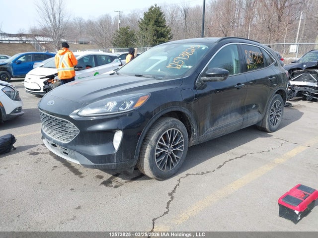 1FMCU0KZ0MUB31565 Ford Escape Hybrid